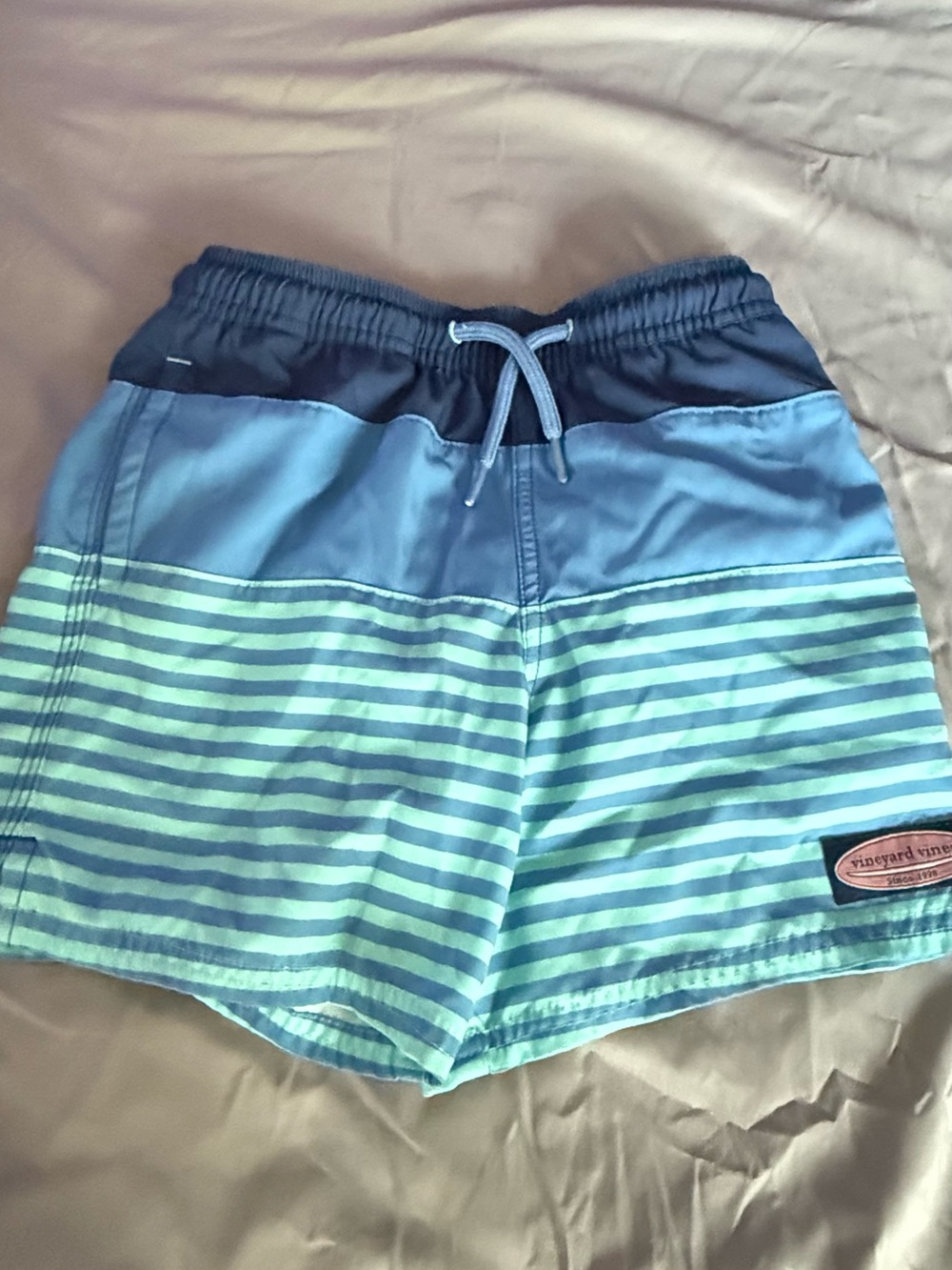 Vineyard Vines Boys Blue & Aqua Striped Swim Trunks